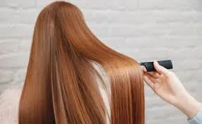 Repolarizaciòn - Imagen 1