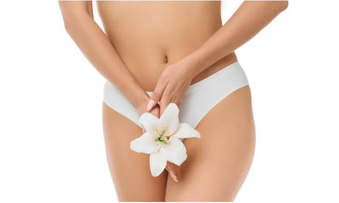 Depilacion Bikini