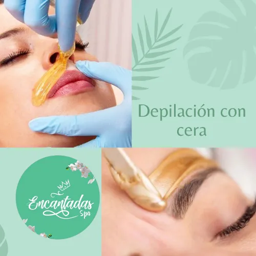 Depilación de Cejas y Bozo Cera