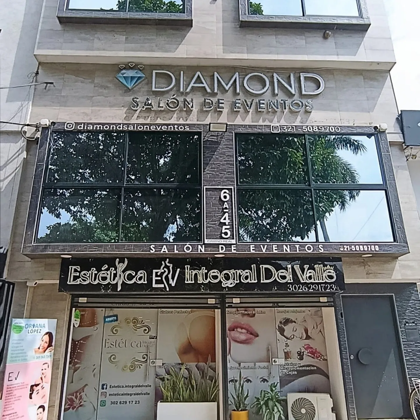 Portada de ESTÉTICA INTEGRAL DEL VALLE