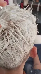 Teñido Global + corte - 4