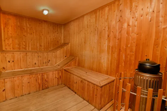 SAUNA - Imagen 1