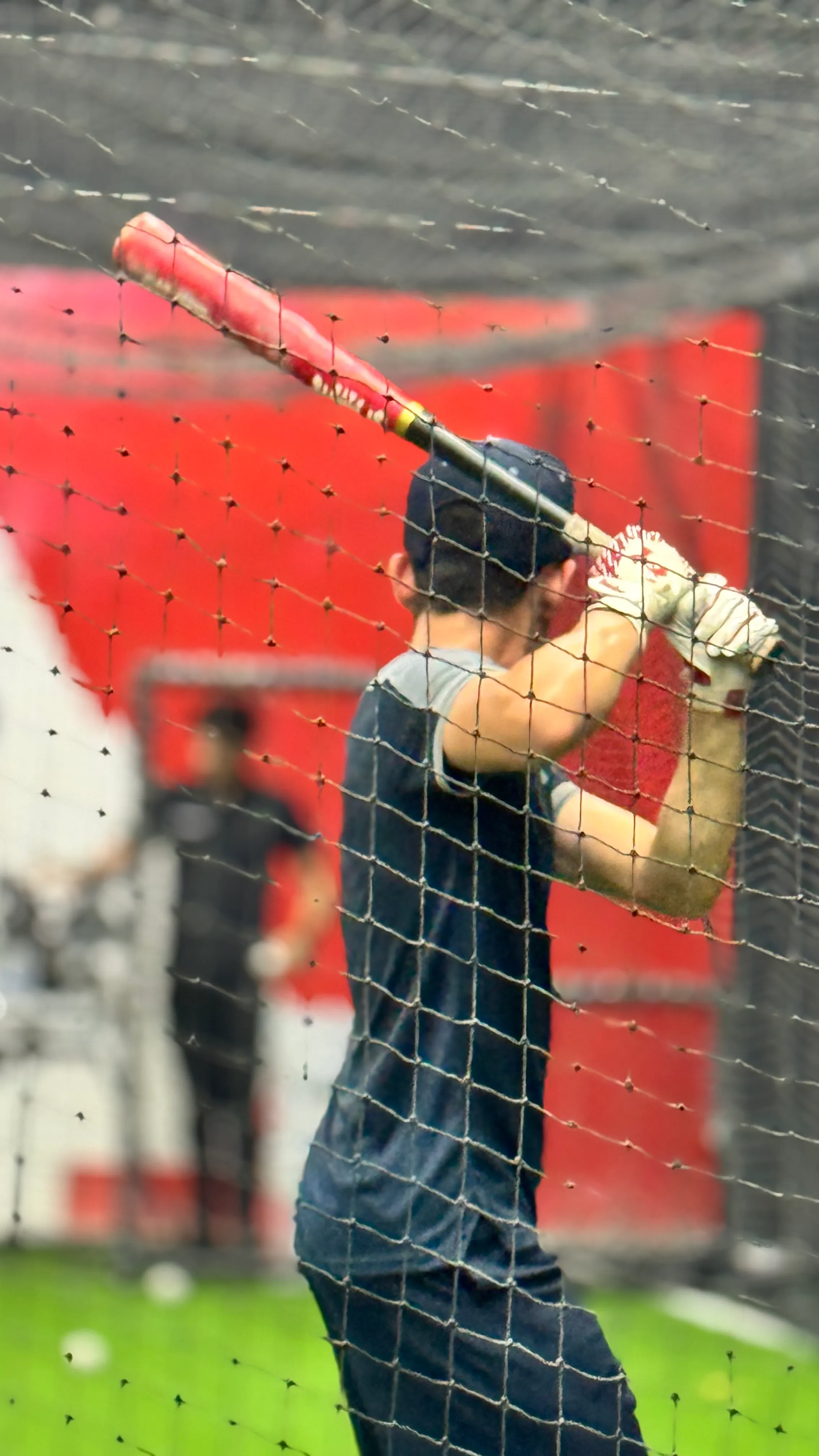 JAULA DE BATEO - Imagen 1