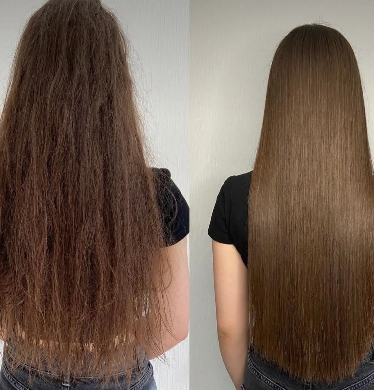 corte dama + Repolarizacion - Imagen 1