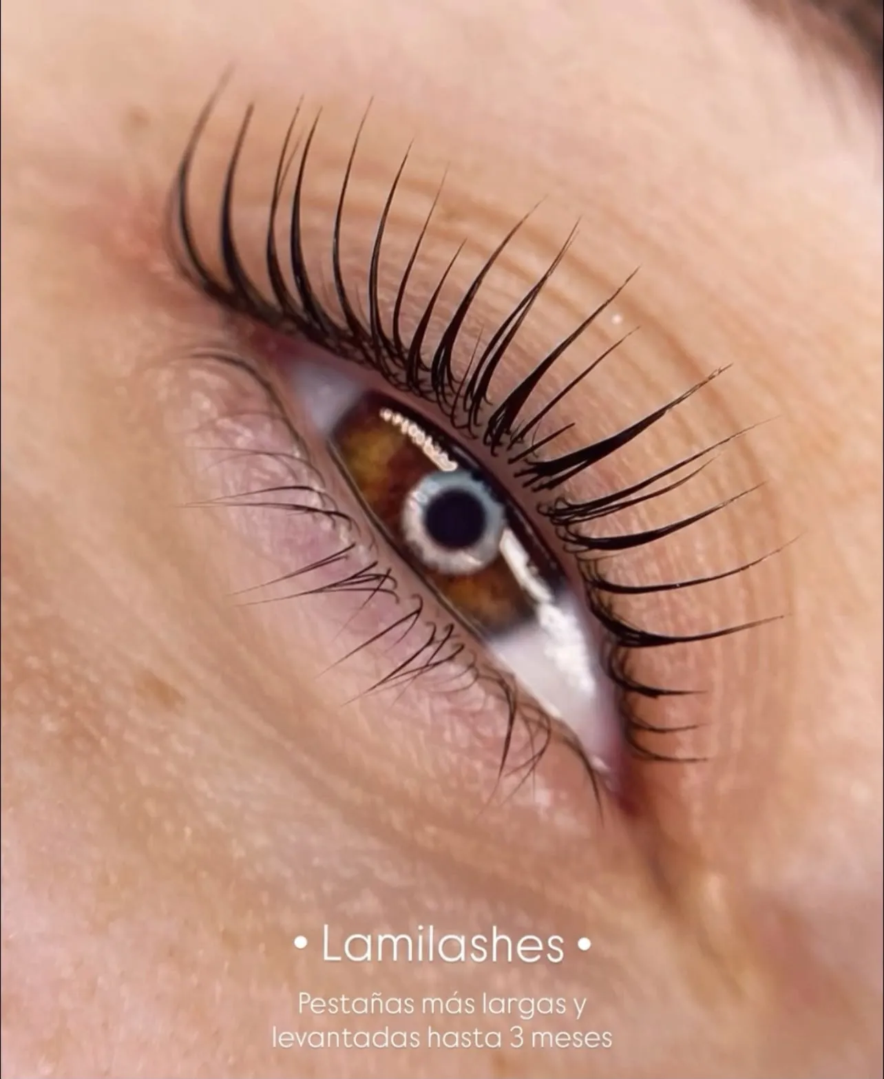 Lash lifting - 1