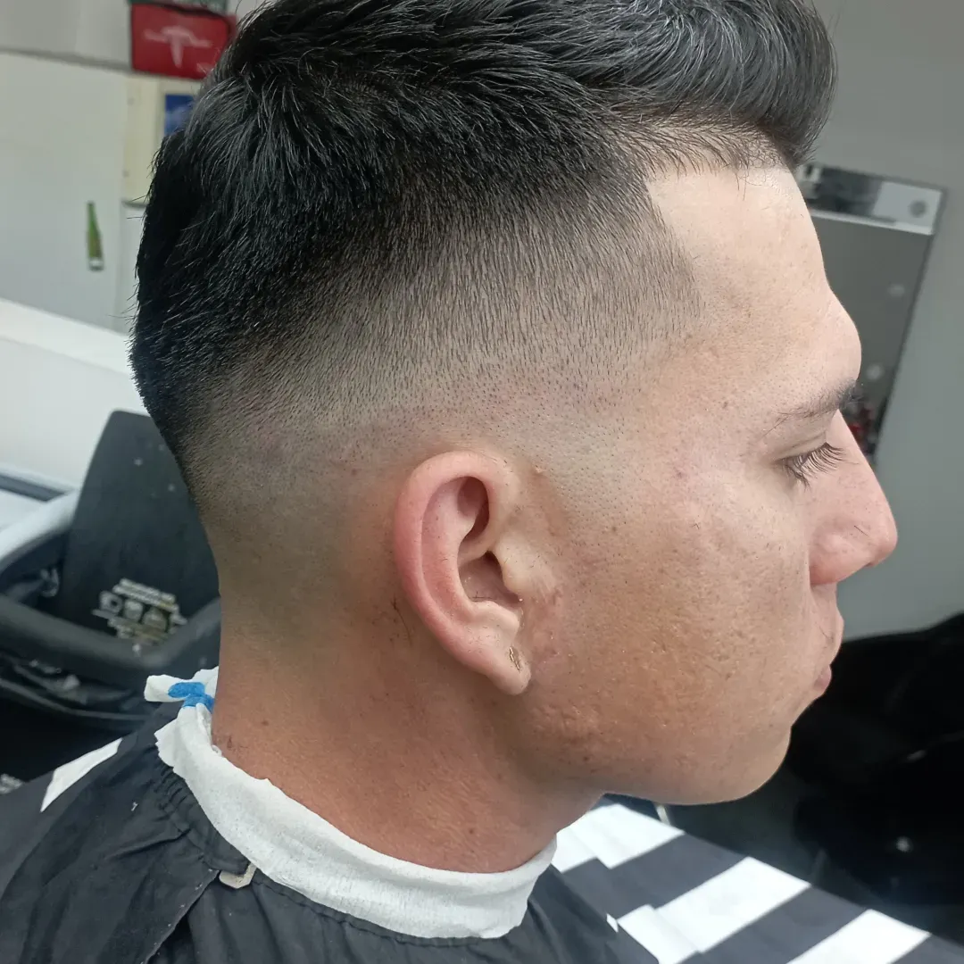 Corte Adulto. - Imagen 1