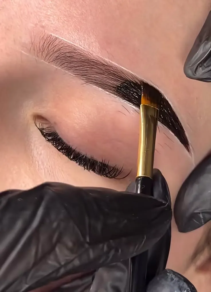 pigmentación en cejas ( sin diseño,ni sacadas)