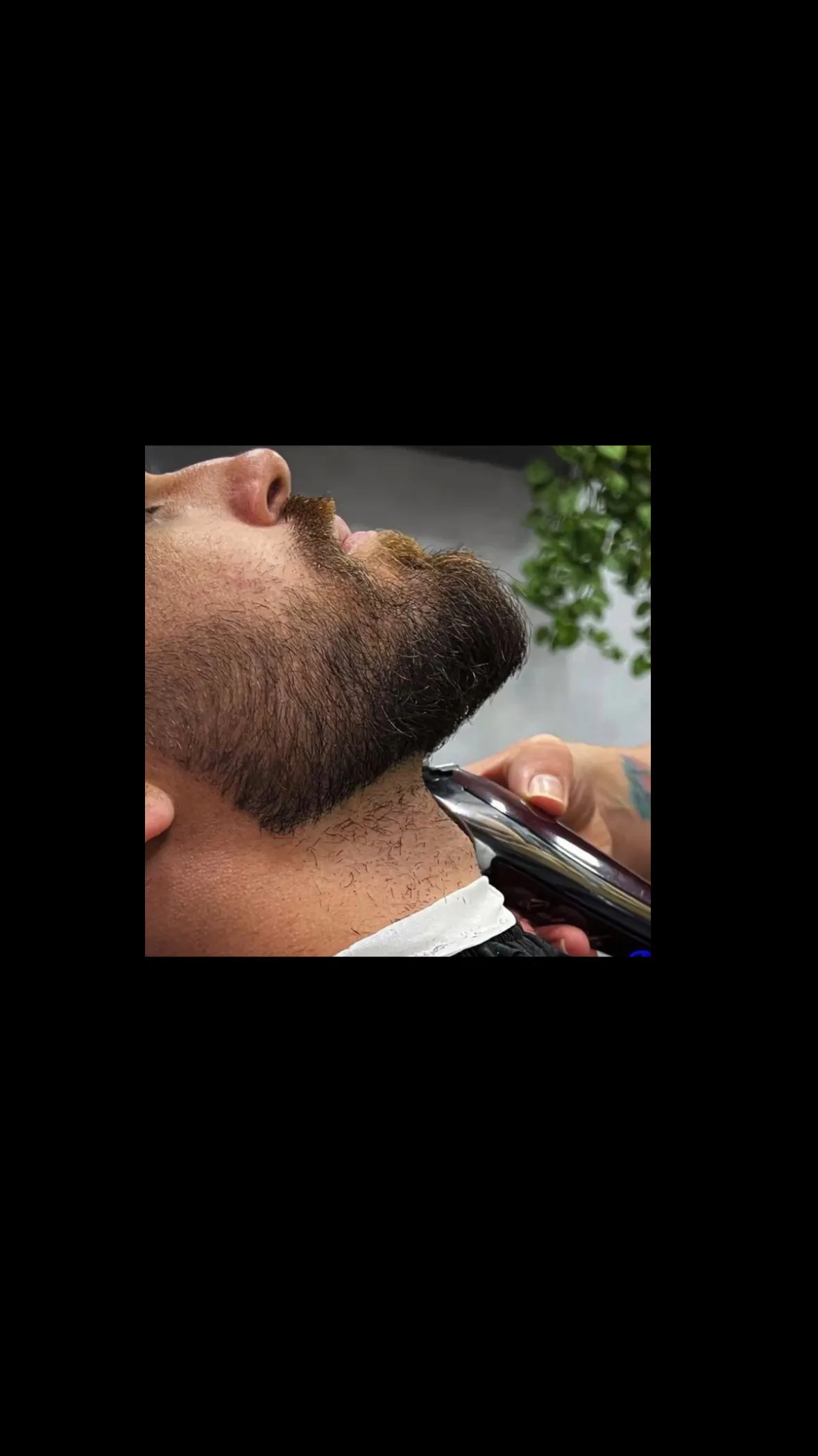 Barba