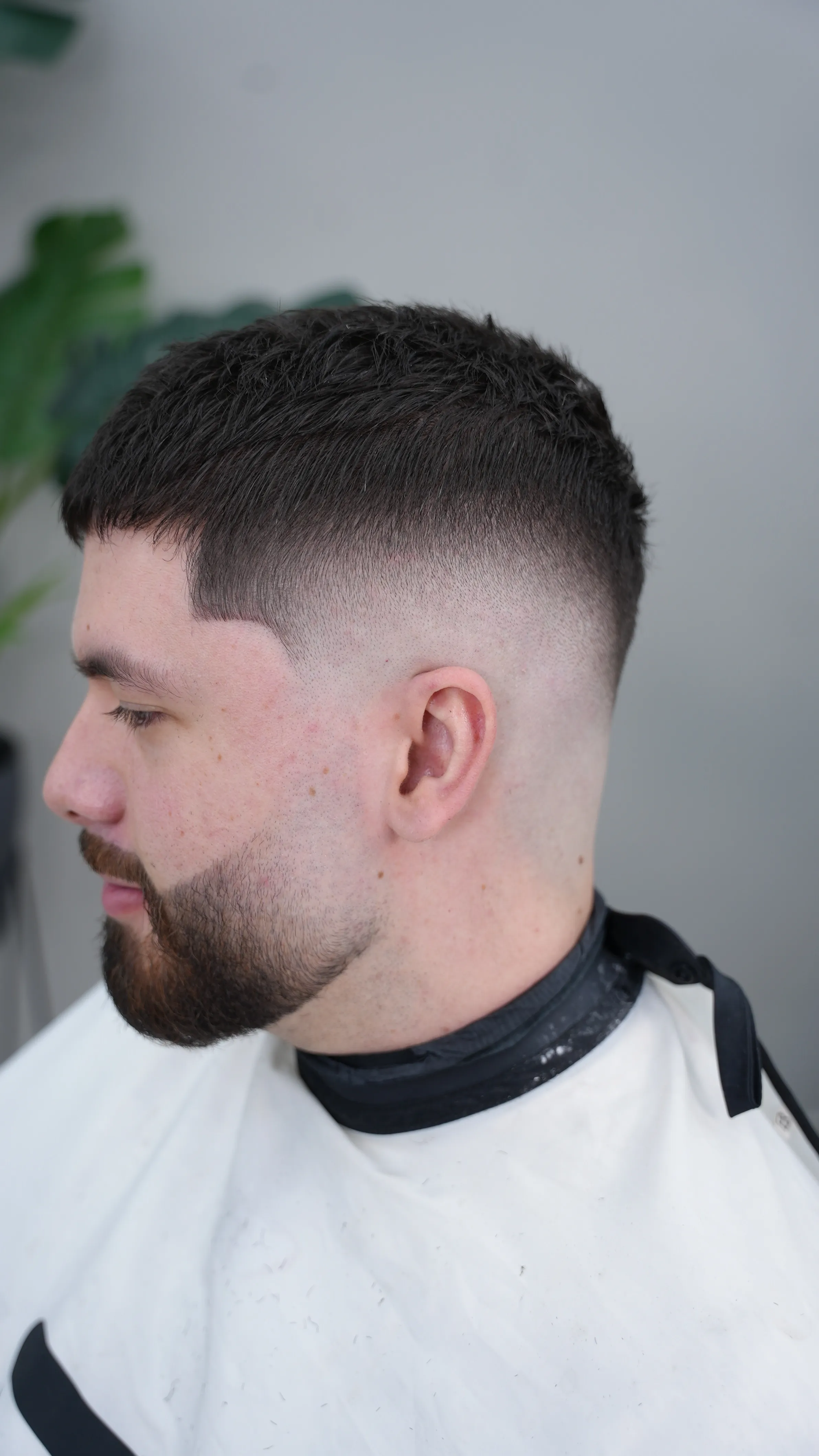 MANTENIMIENTO DE BARBA