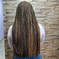 TRENZAS LLUVIAS - Imagen 1