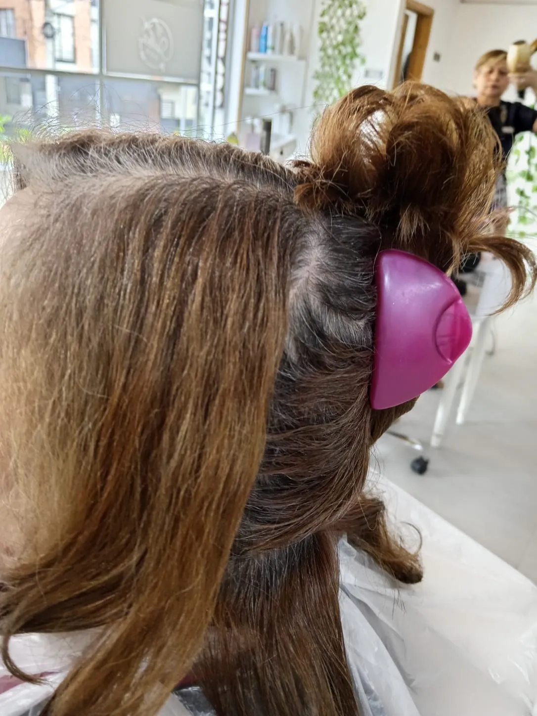Cubrimiento de canas de raíz - 4
