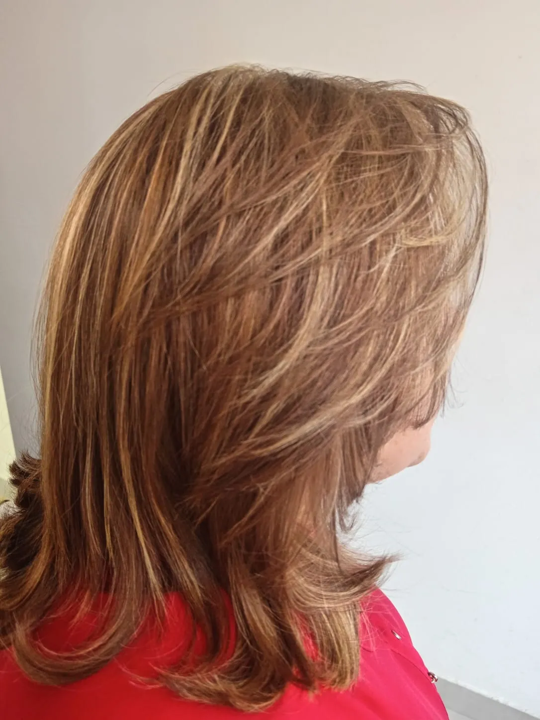 Cubrimiento de canas de raíz - 5
