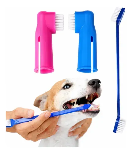 CEPILLADO DE DIENTES
