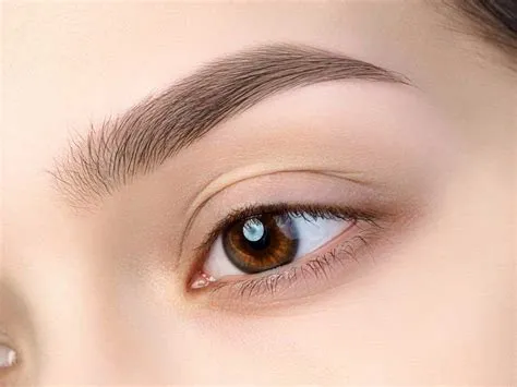 sacado de cejas