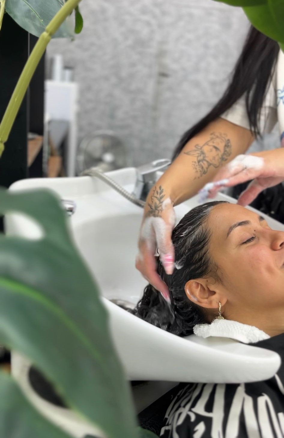 Lavado y brushing - Imagen 1