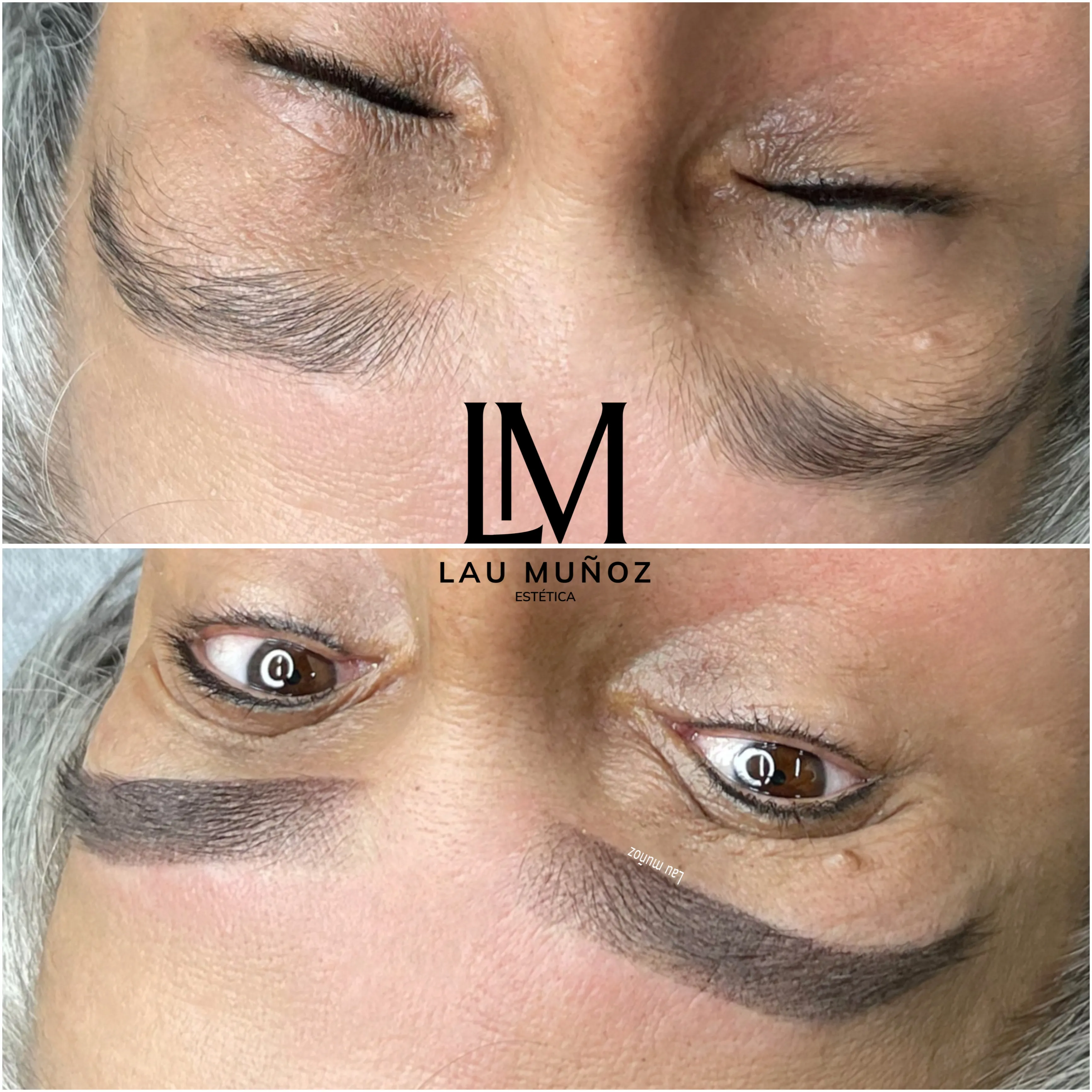 Micropigmentación De Cejas