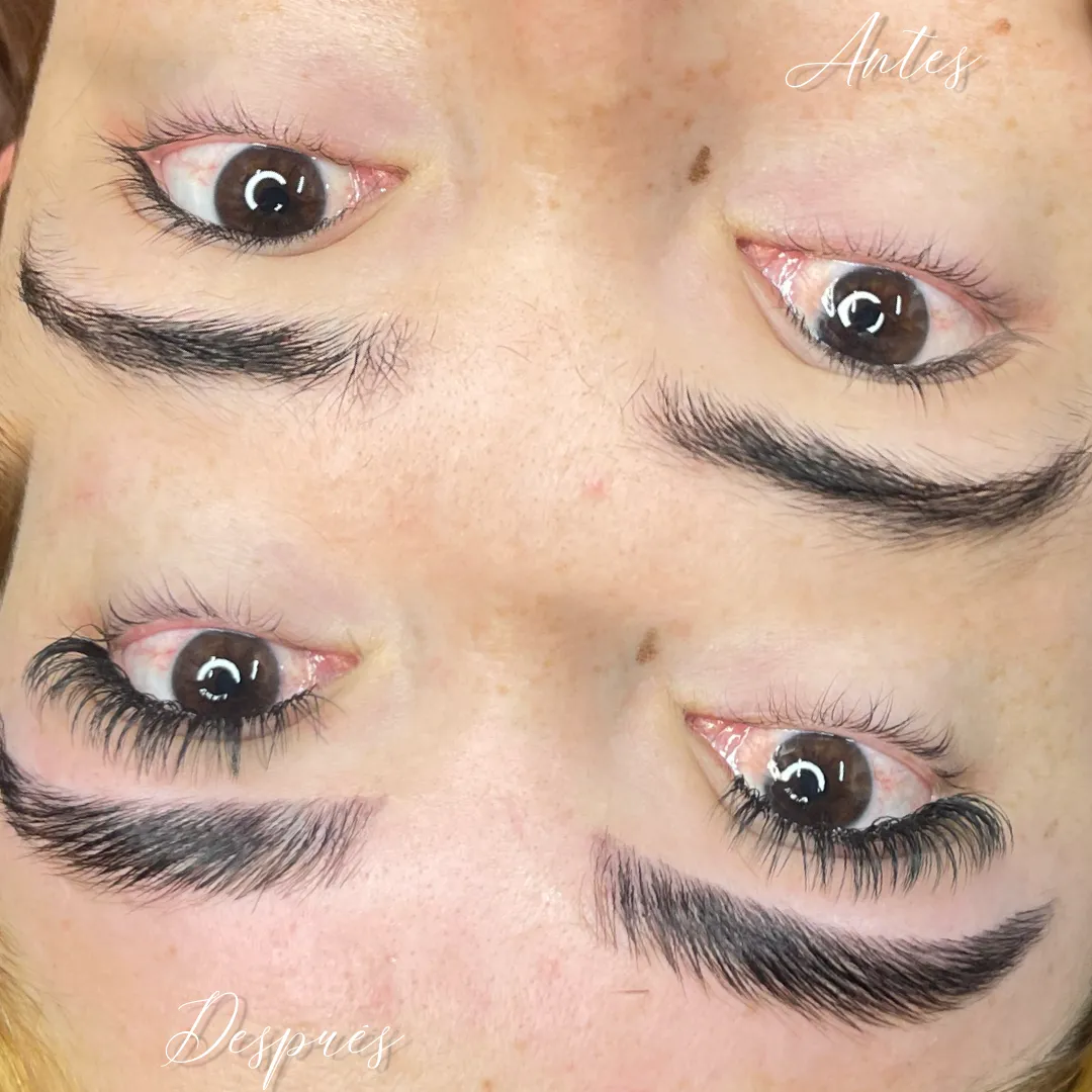 Laminado de Cejas