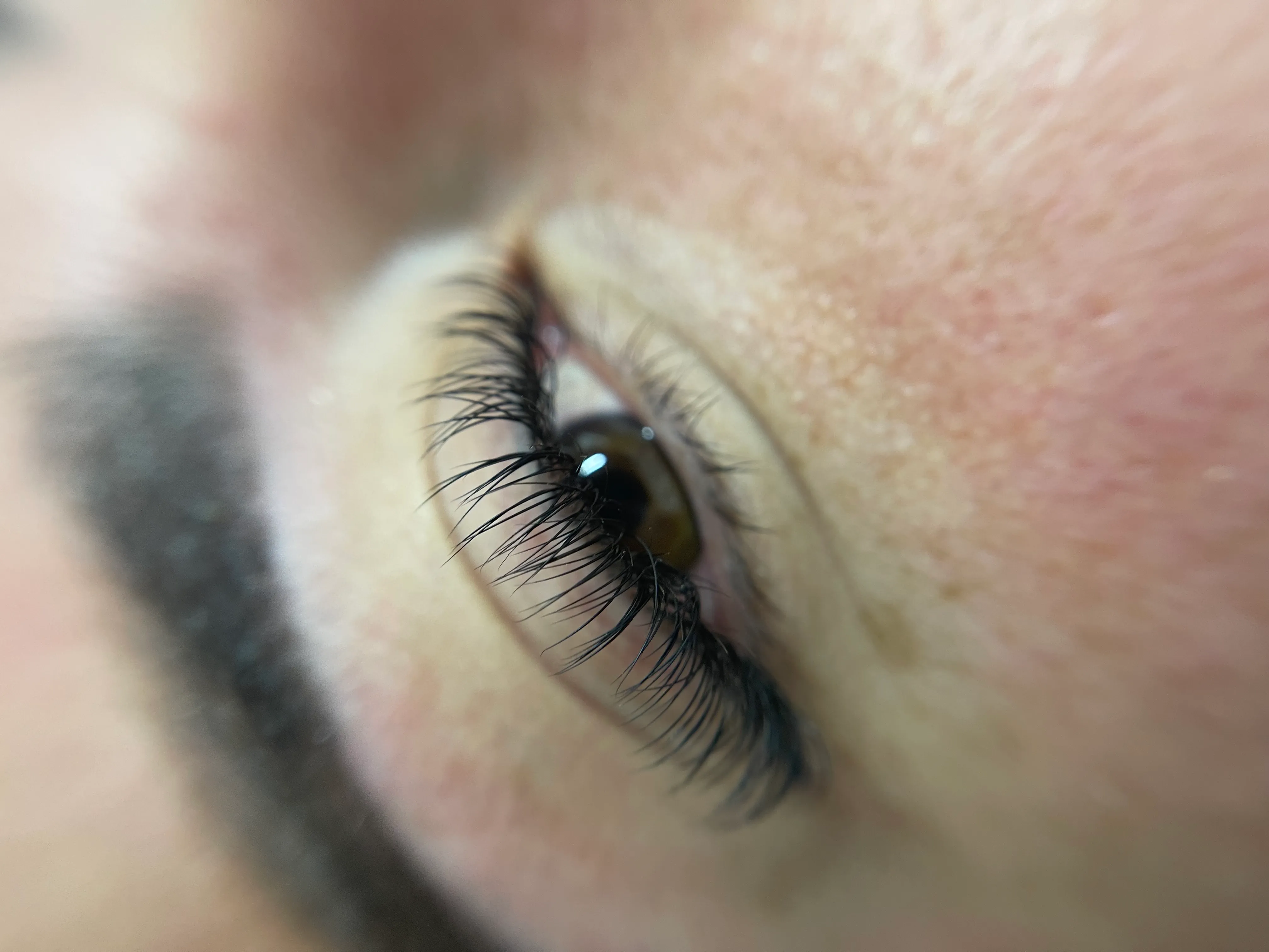 set nuevo pestañas pelo a pelo clásicas 