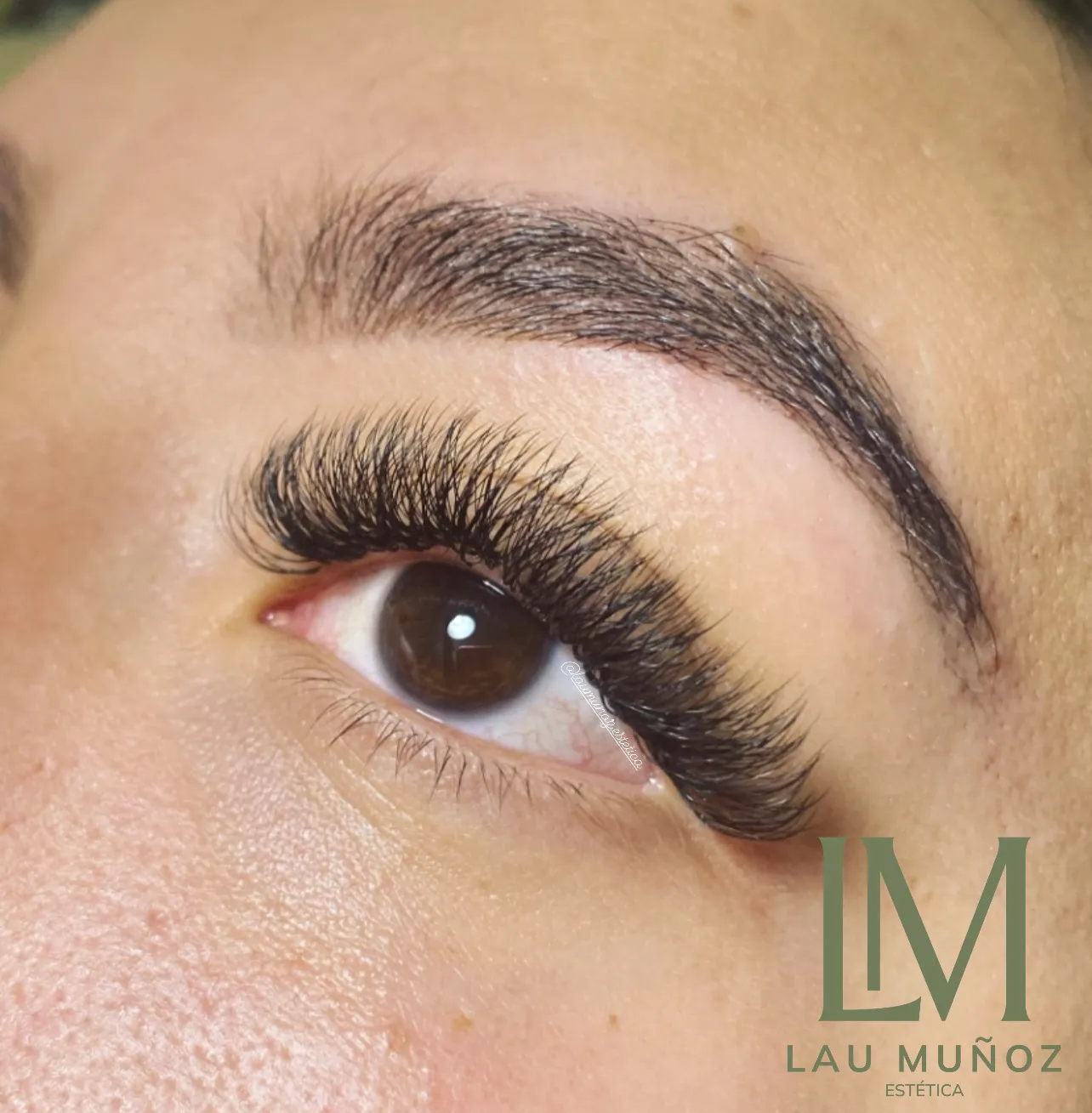 set nuevo pestañas pelo a pelo volumen tecnológico