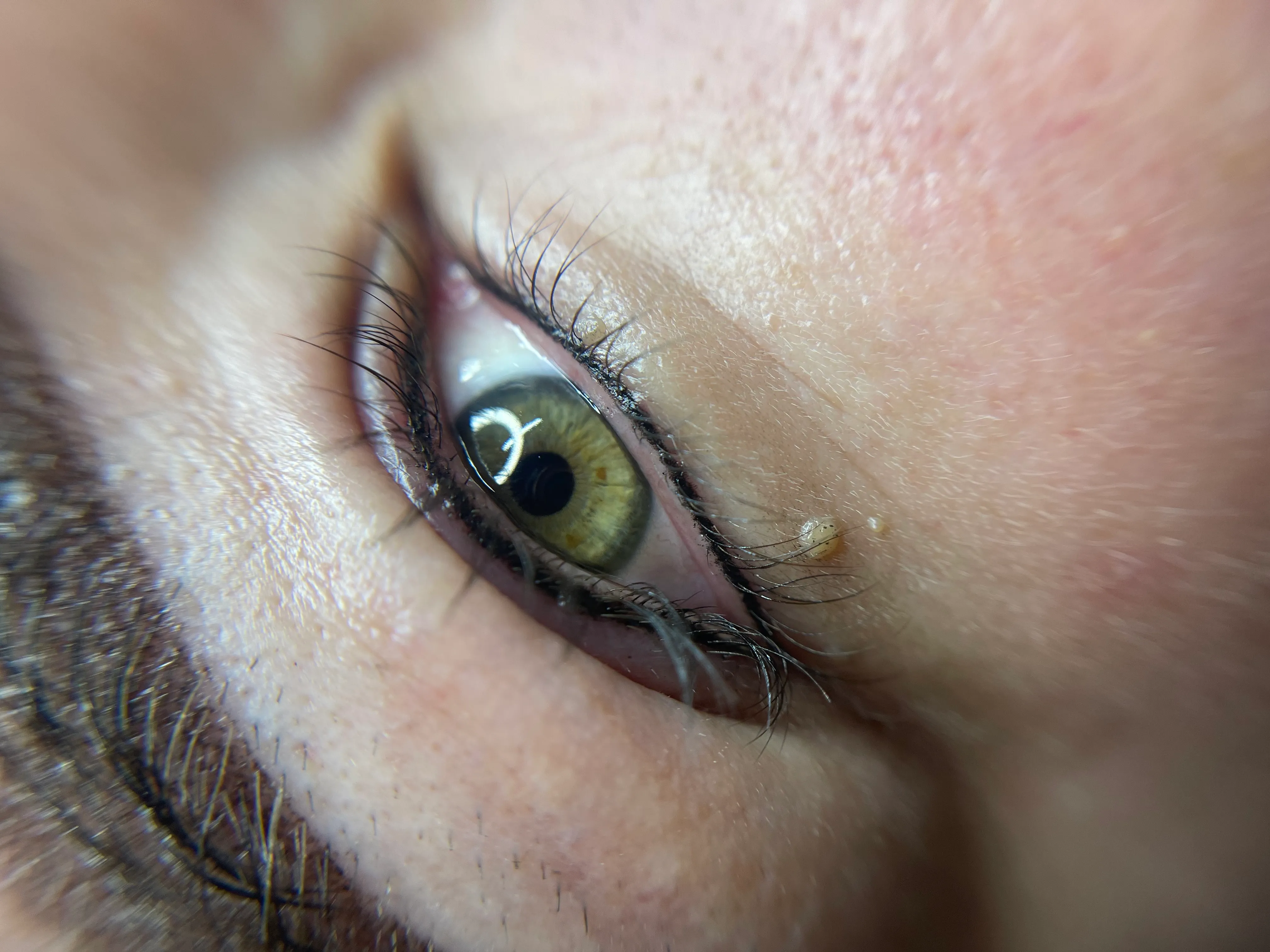 Tupido de Pestañas Micopigmentación línea de ojos delgada