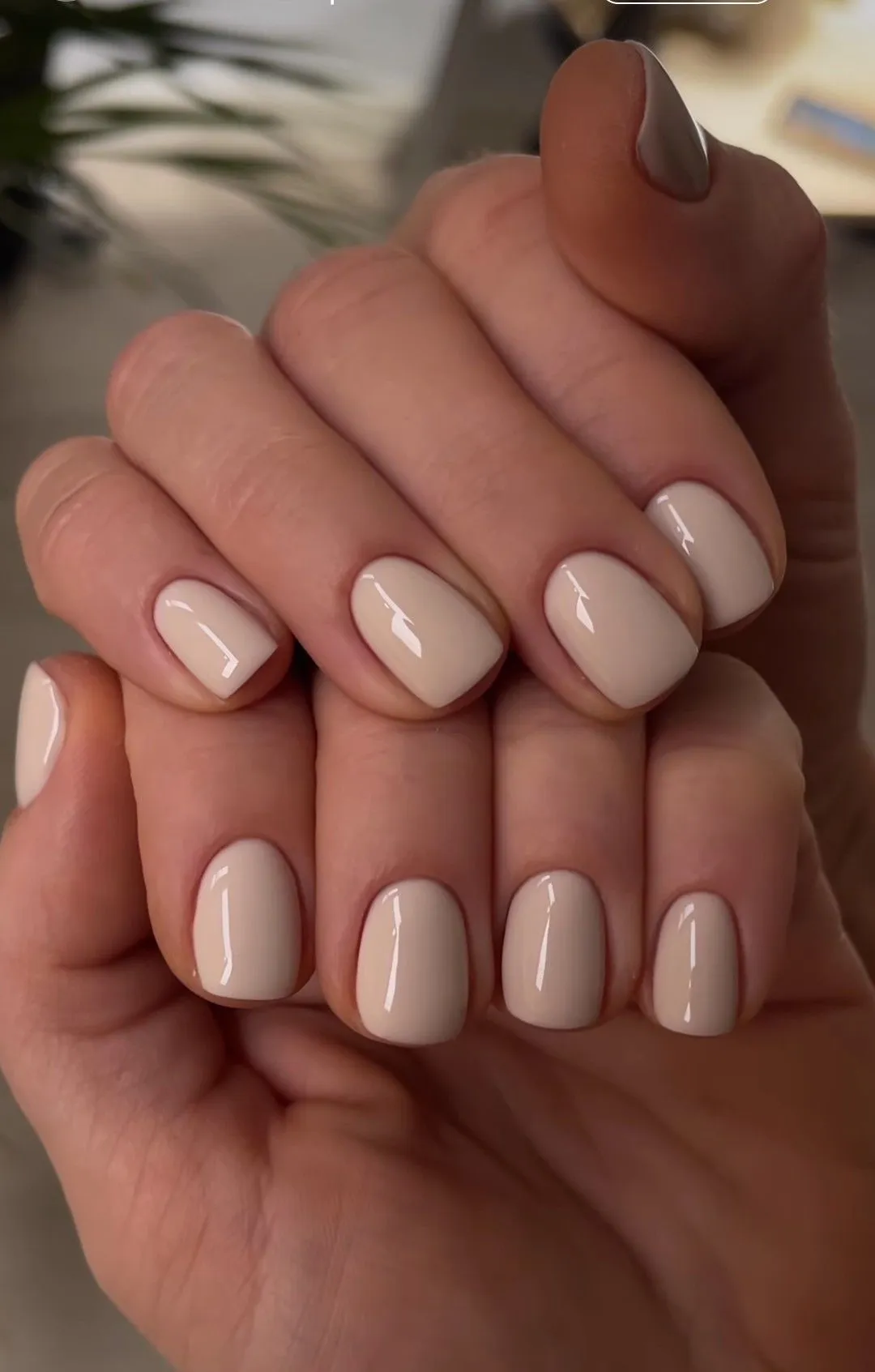 BASE RUBBER + TRADICIONAL