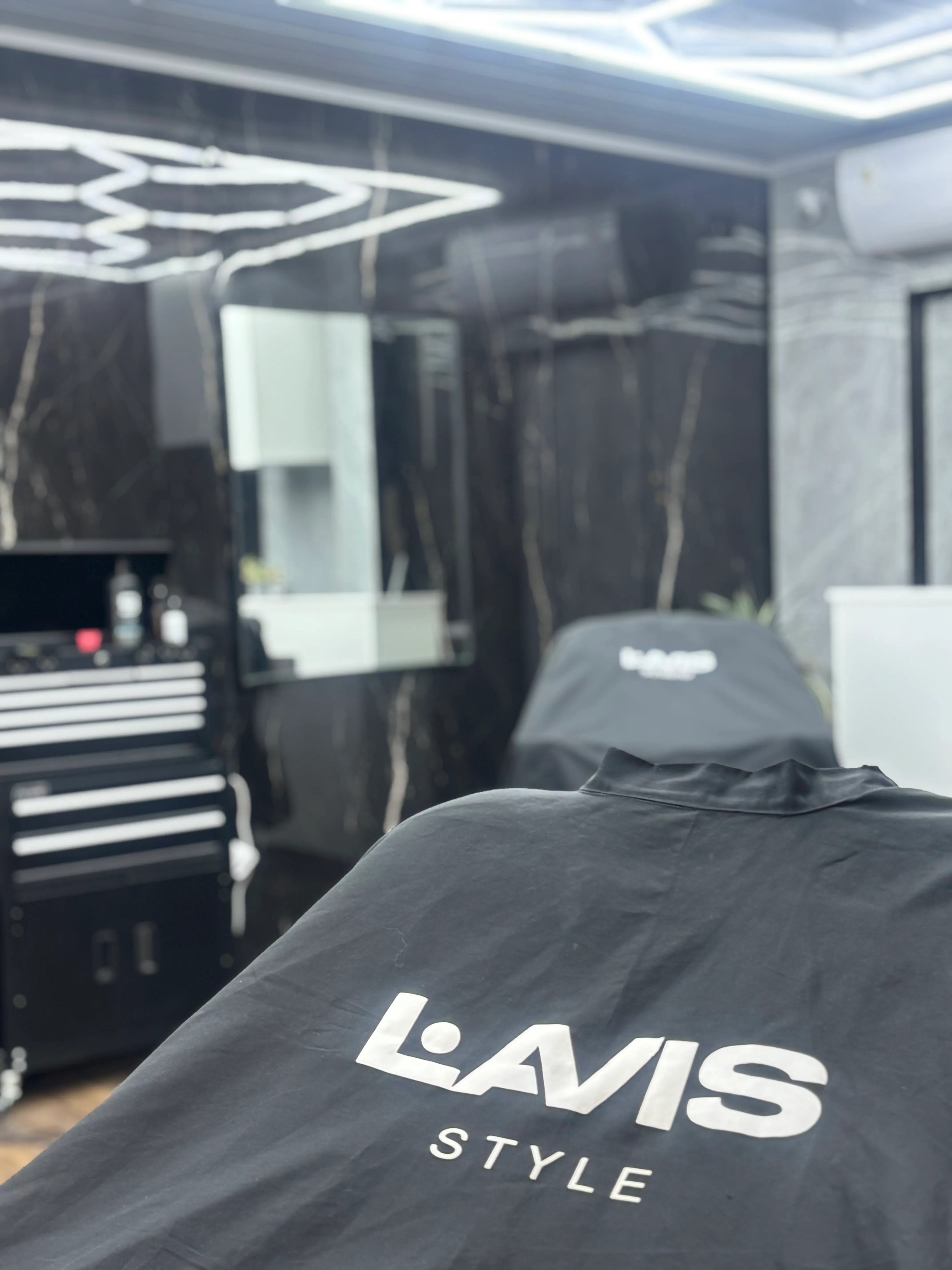 Lavis style