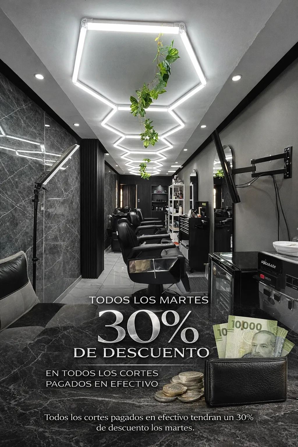 OFERTA DÍA MARTES