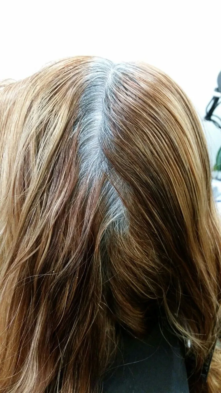 COBERTURA DE CANAS - 2