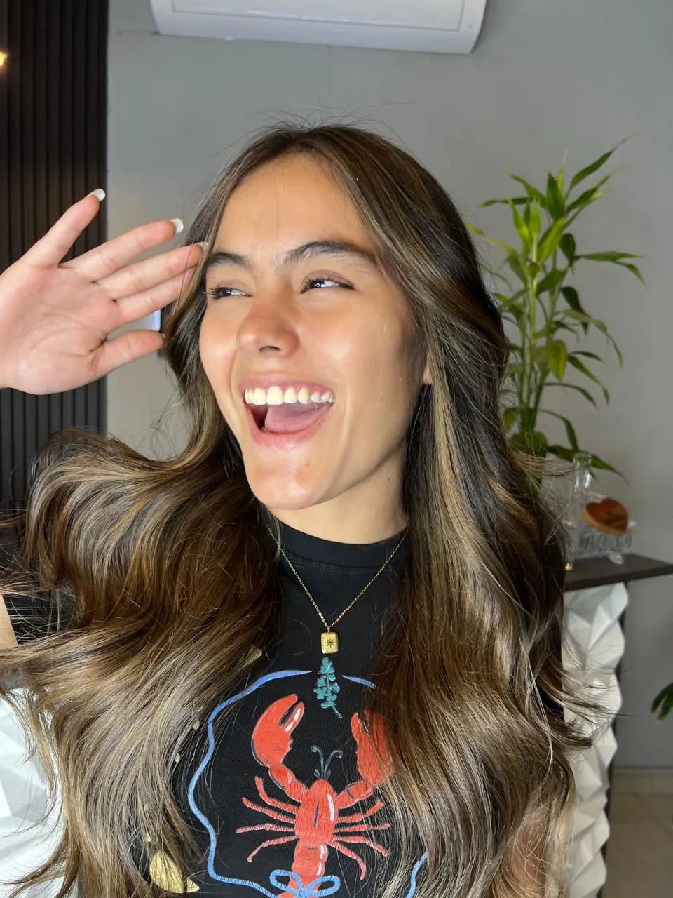 Morena Iluminada