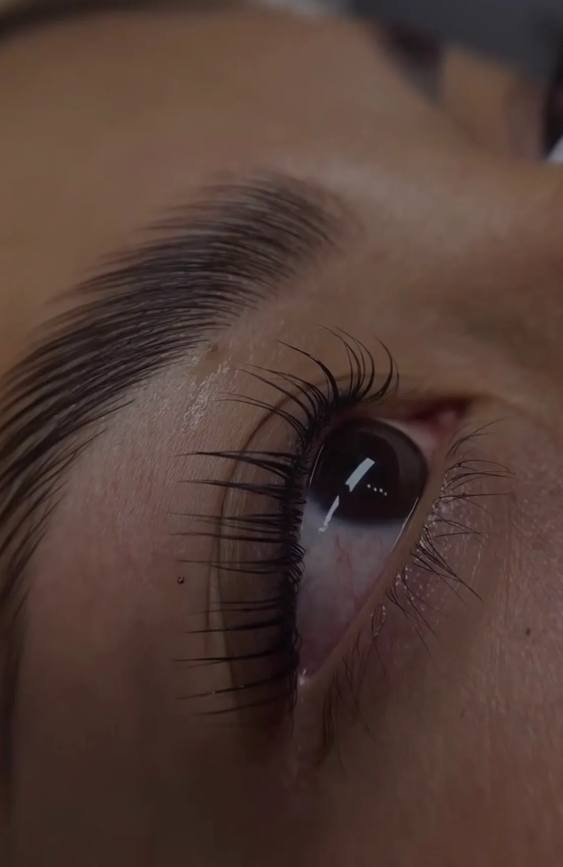 Laminado de cejas + Perfilado de cejas + Lifting