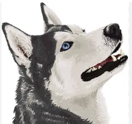 Spa Husky - Imagen 1