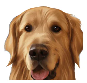 Spa Golden - Imagen 1