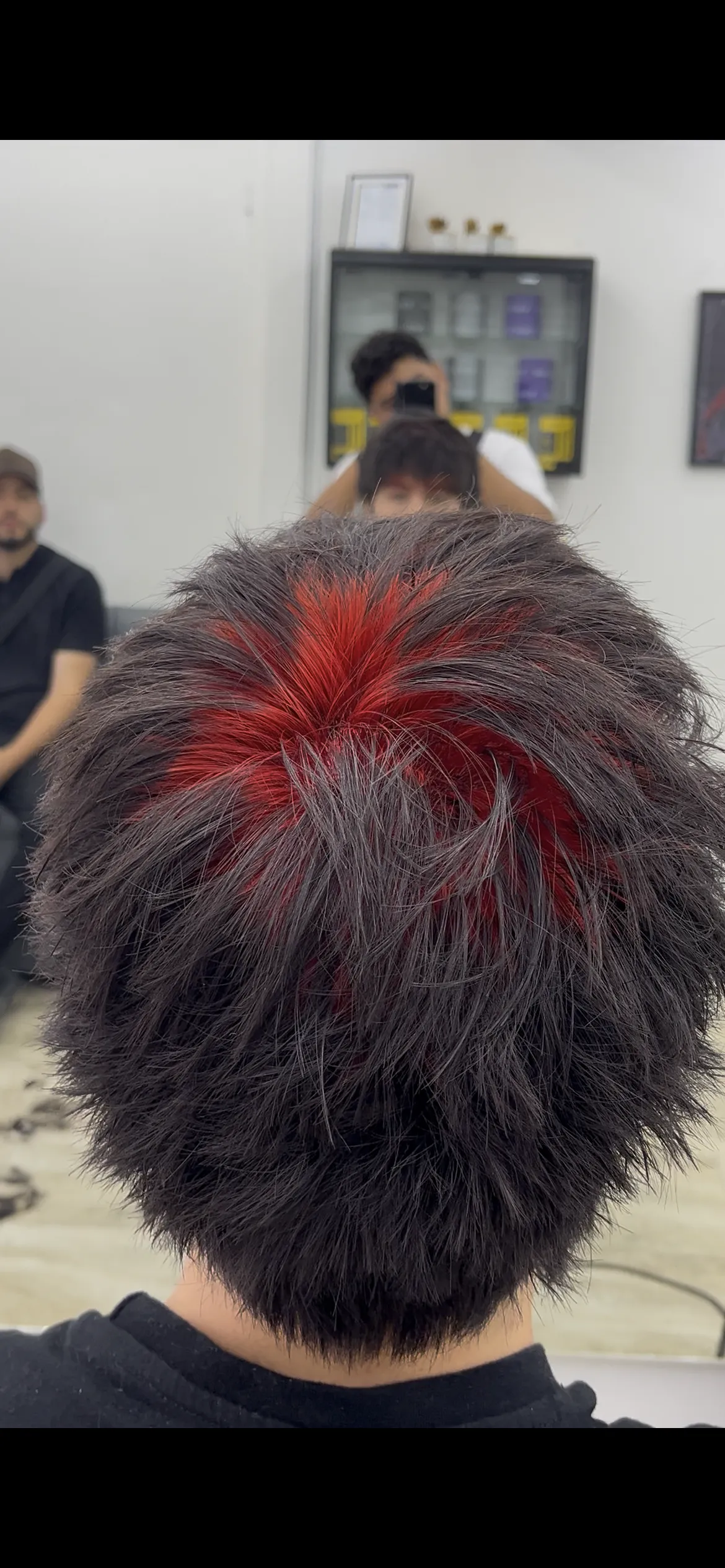 COLOR (GHOSTROOT Y BLOQUE)