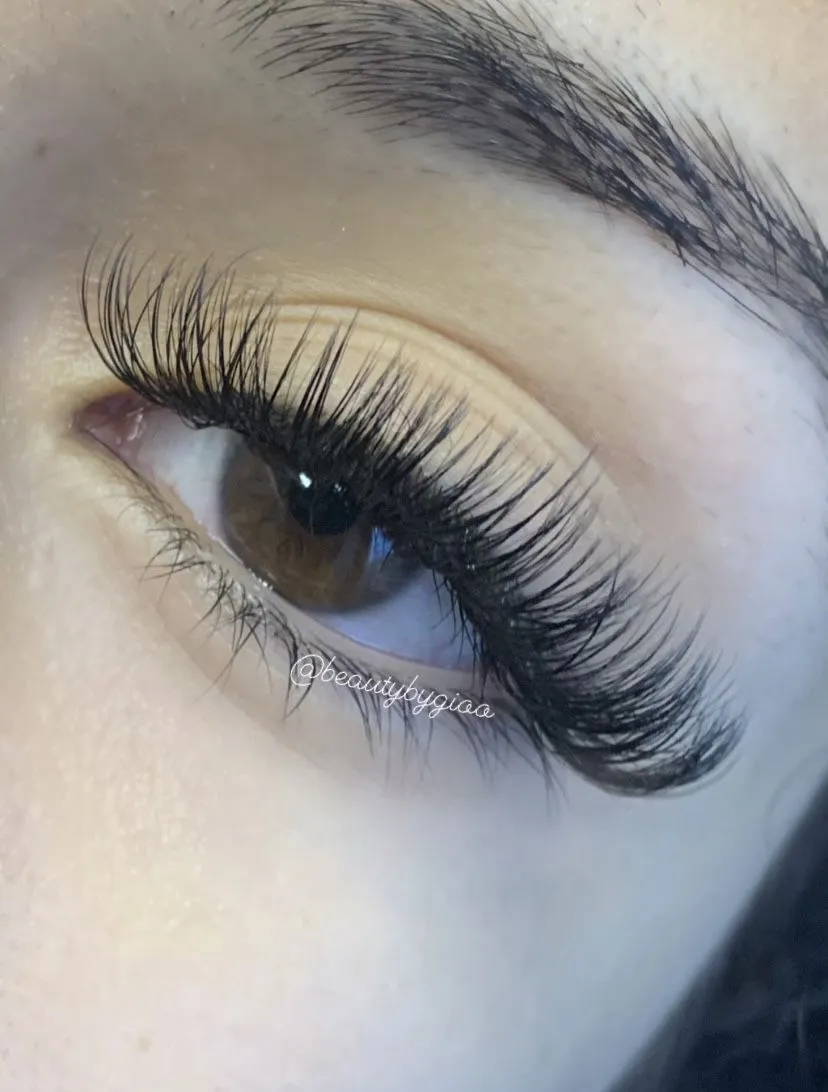 EXTENCIONES HIBRIDAS  