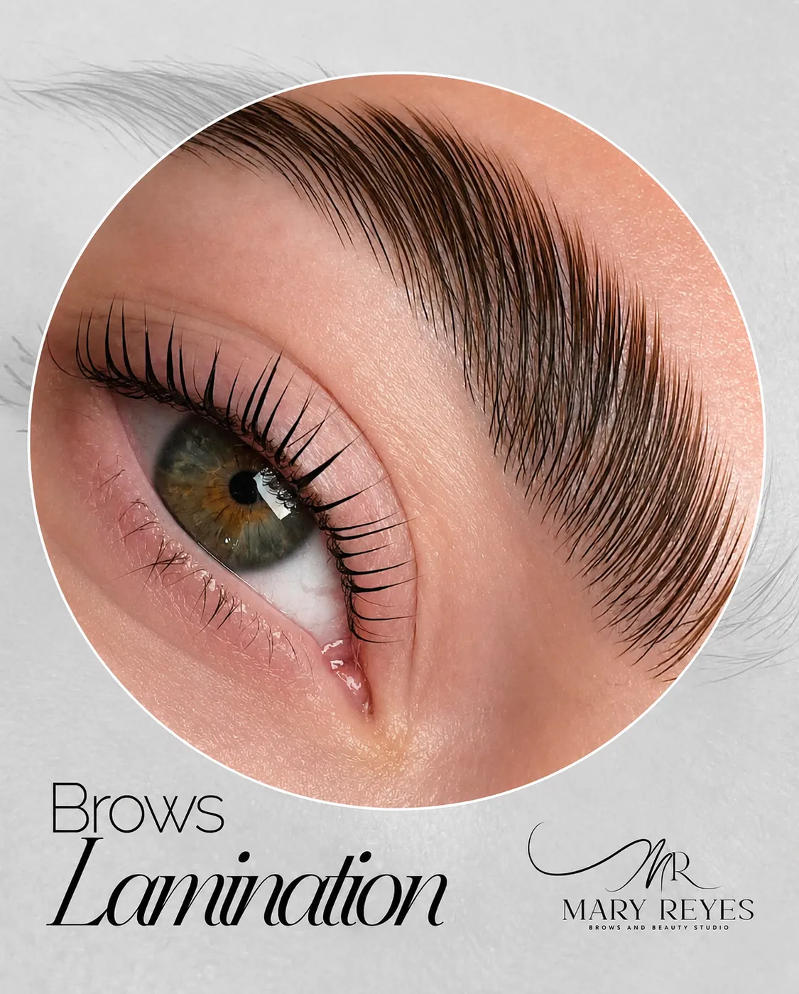 Brows Lamination