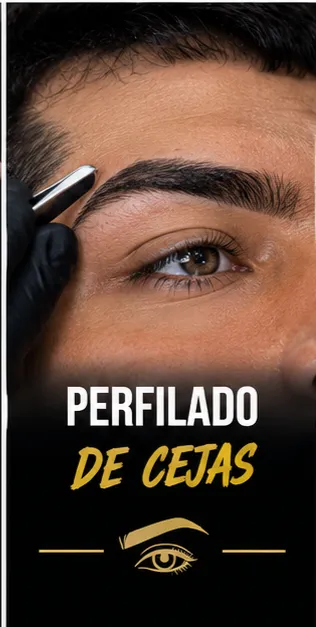 Perfilado de Cejas