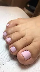 Pies SEMI - 2