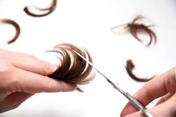 Corte de puntas