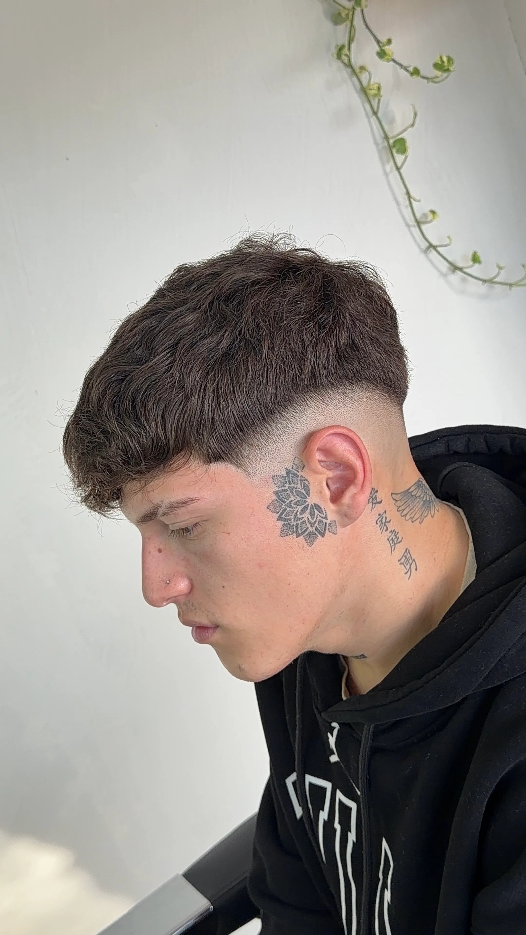 CORTE