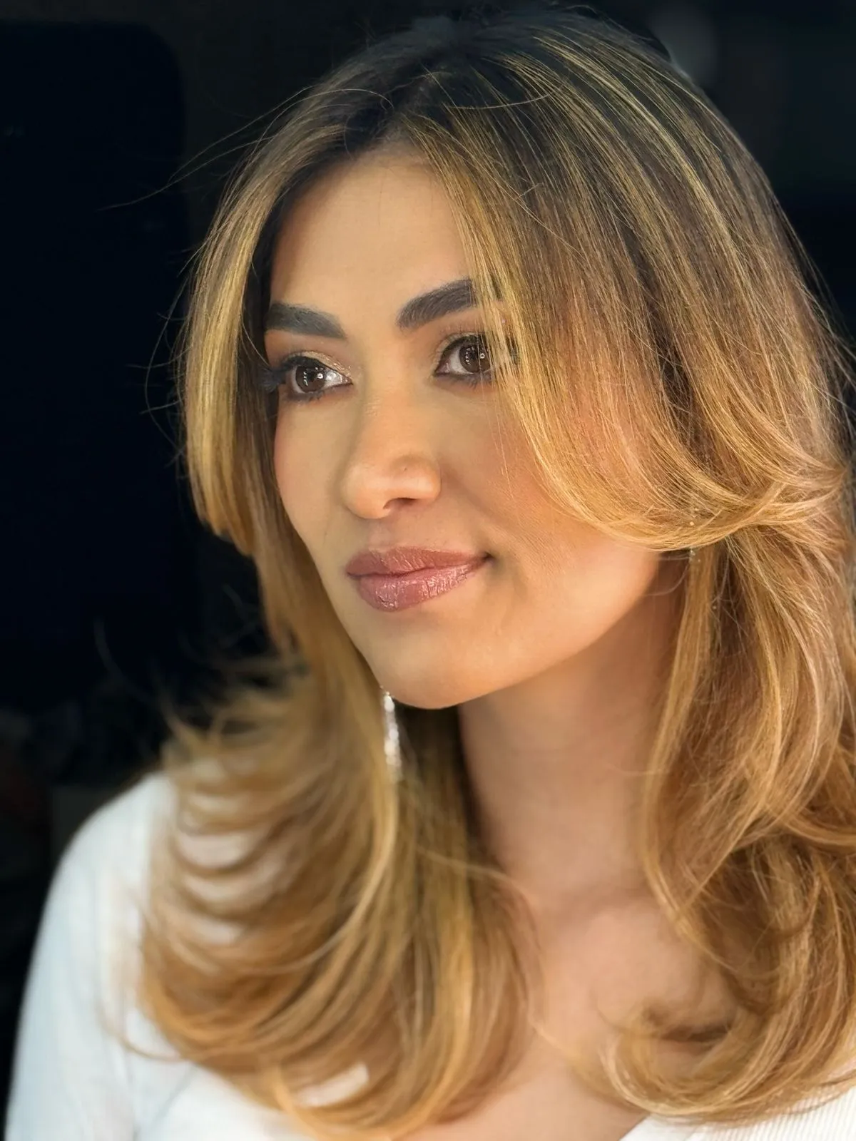 Blower  Profesional - Imagen 2