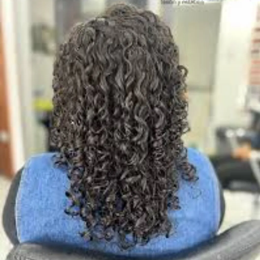 RIZOS PERMANENTES TOTALES