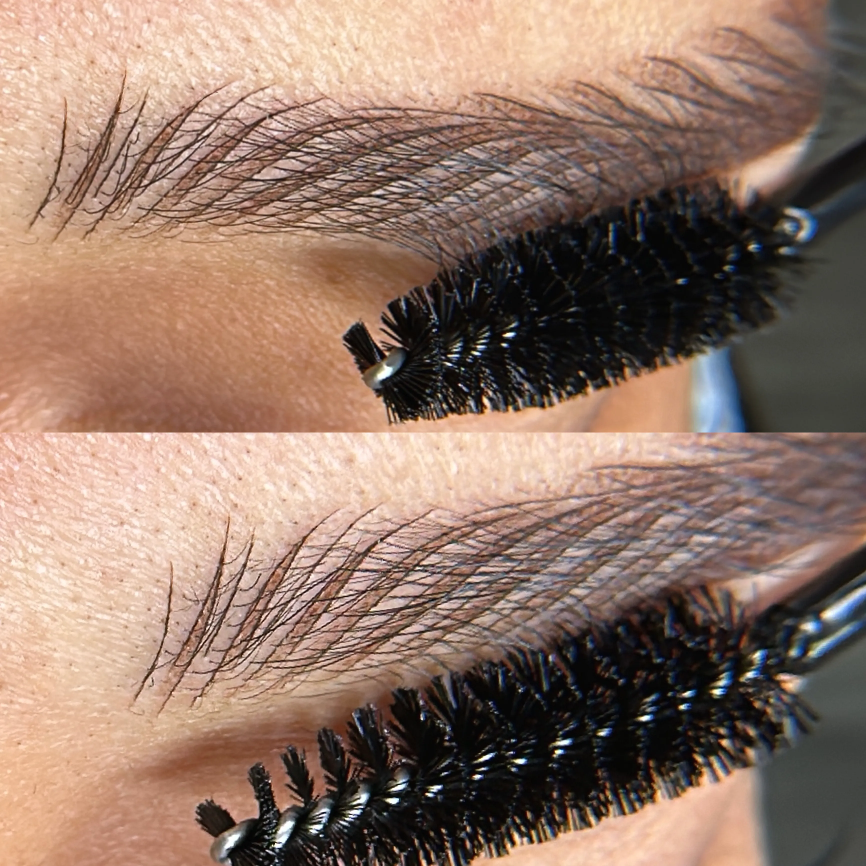 Fusion Brows