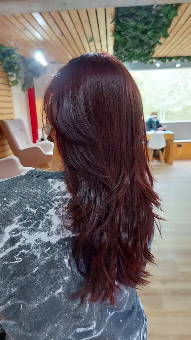Cepillado Cabello Medio