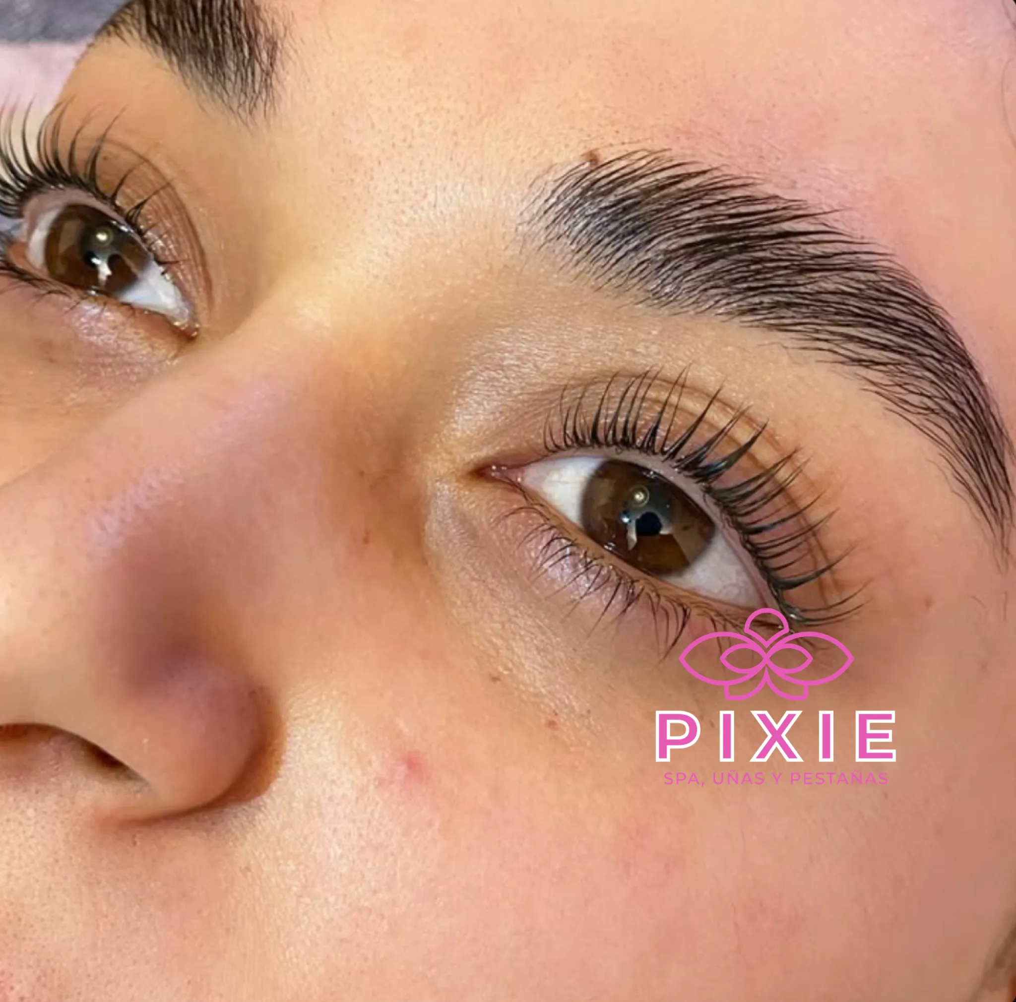 laminado de cejas