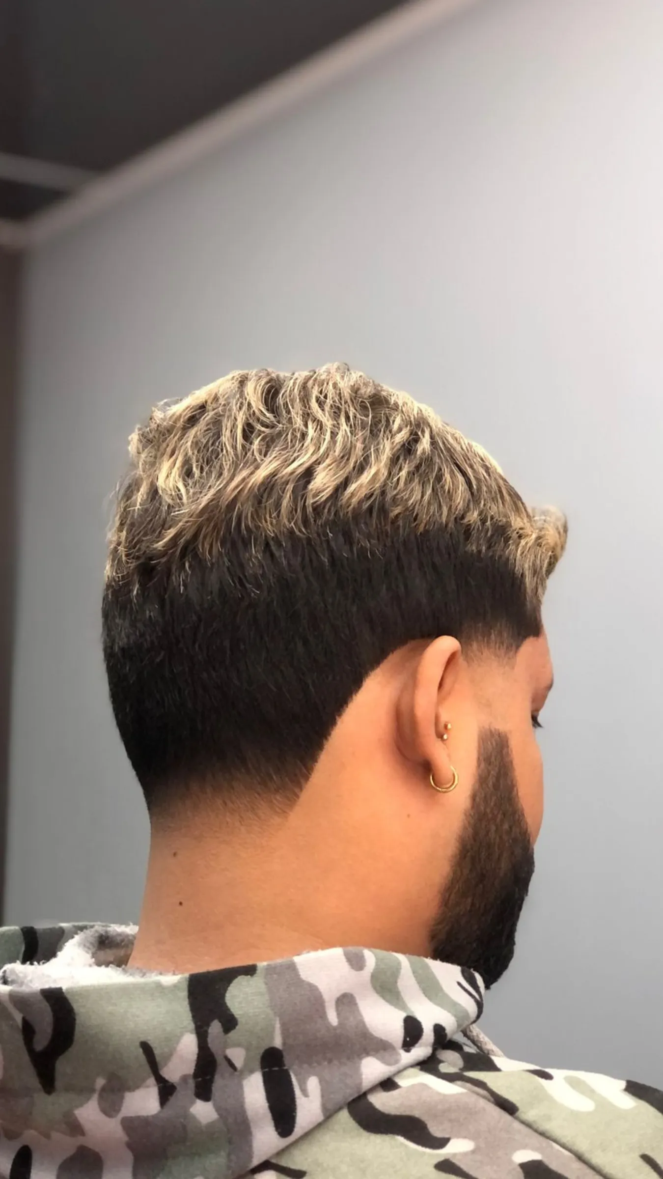 Cerquillo  - Imagen 1