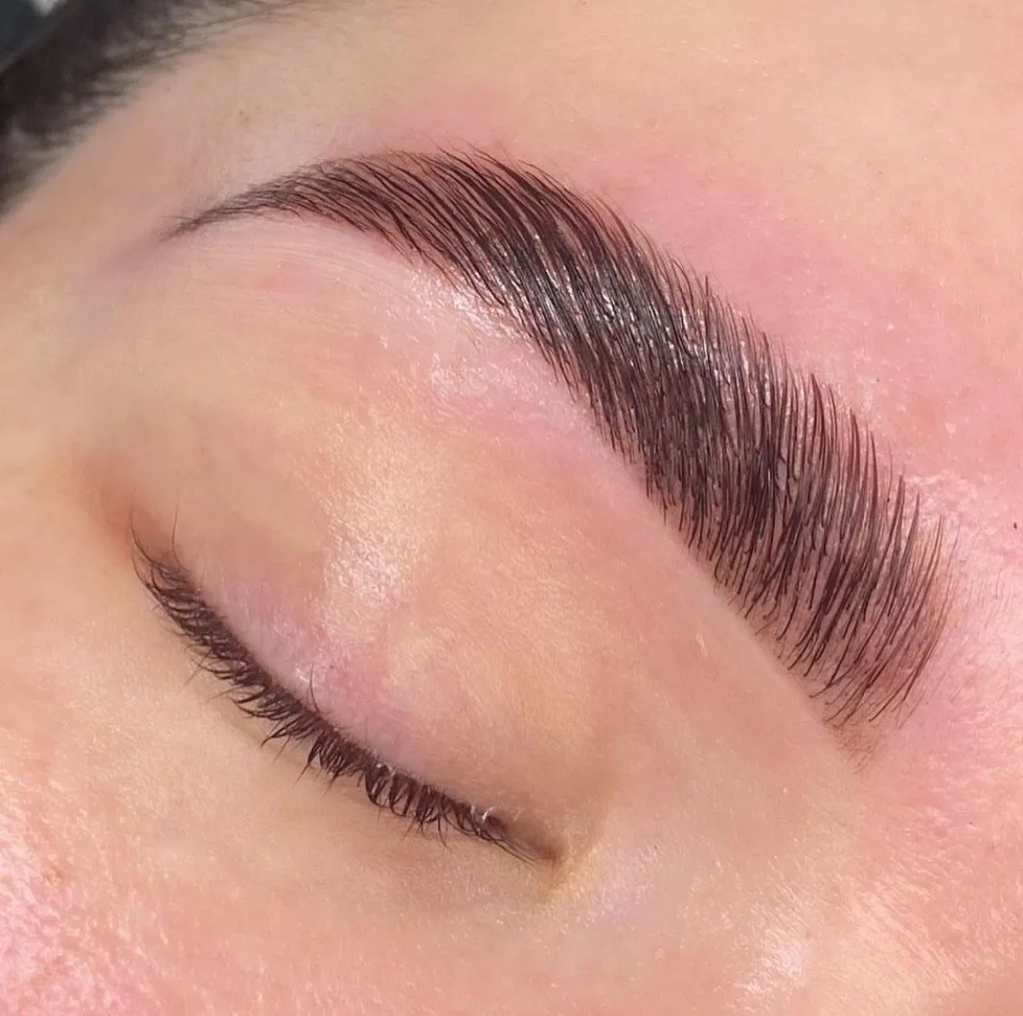 LAMINADO CEJAS