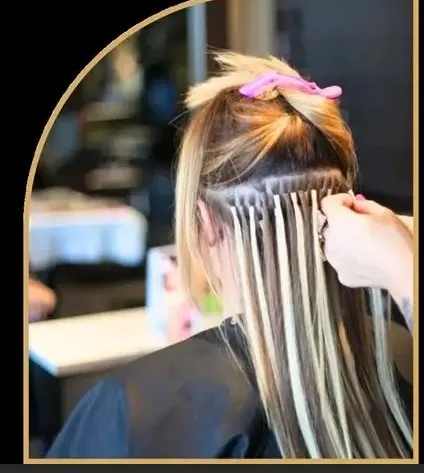 EXTENSIONES MICROLAING