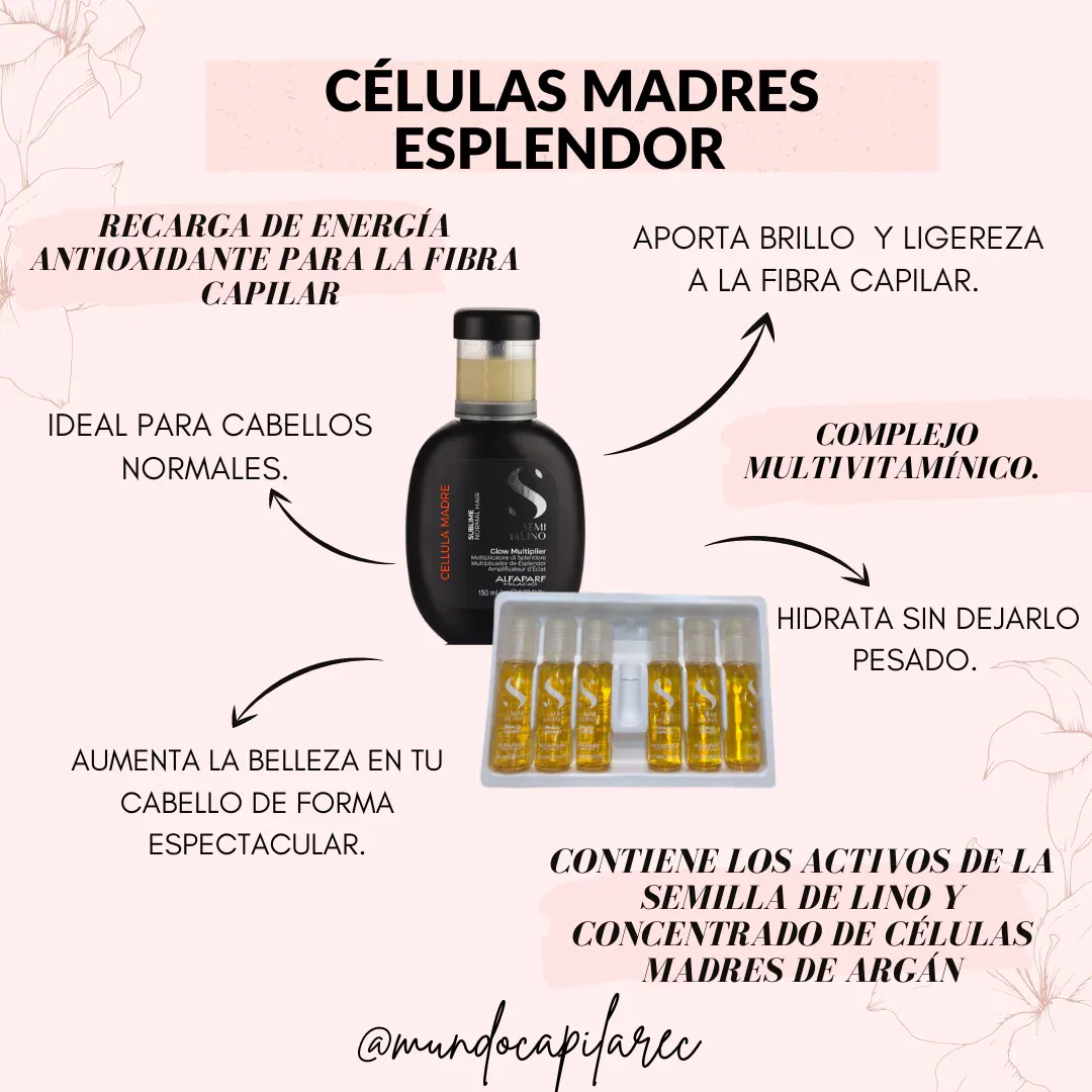 CELULAS MADRE REPARACION INTENSIVA DE ALFAPARF PRODUCTO ITALIANO  - 2