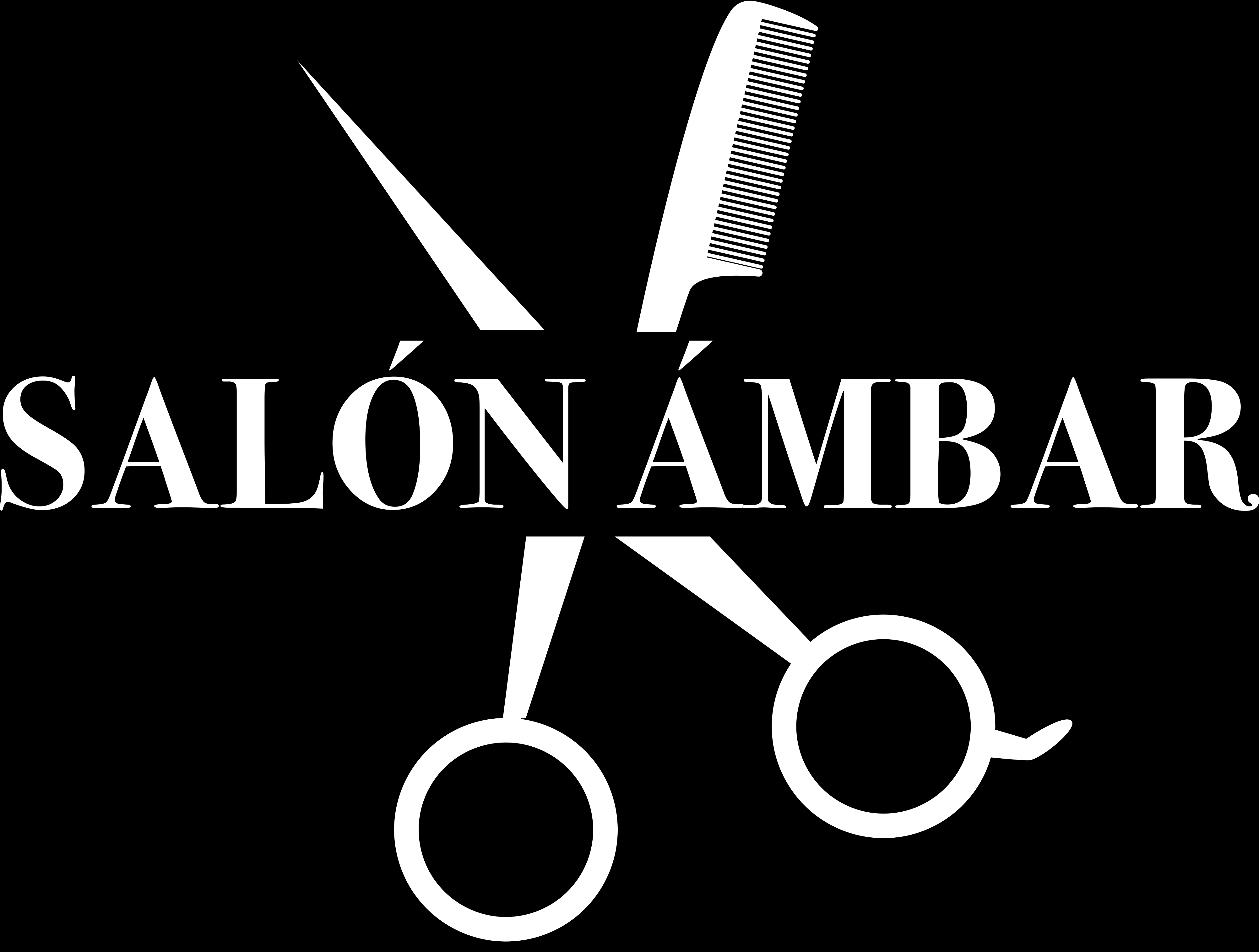 Portada de Salon Ambar