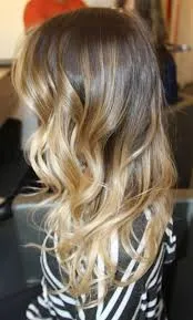 mechas hairlovers